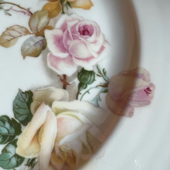Gorgeous Vintage German Hand Painted Roses 10” Plate - Picture 4 of 7